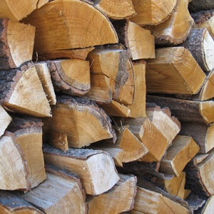 Birke Kaminholz Brennholz